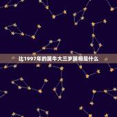 比1997年的属牛大三岁属相是什么，属牛大3岁属什么！比属牛的大3岁该
