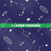 十二生肖里哪个属相跑得最快，十二生肖中什么动物跑的最快
