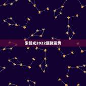 宋韶光2022属猪运势，宋韶光虎年运程的目录