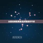 女属龙婚配男属虎的姻缘好不好，女属龙，男属虎如果他们在一起婚姻好不好？