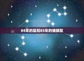 84年的鼠和83年的猪婚配，84年鼠和83年猪结婚合适吗 [