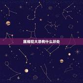 属相犯大忌有什么坏处，有谁知道属相犯忌？大忌和小忌