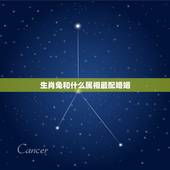 生肖兔和什么属相最配婚姻，属龙的和什么属相最配_属龙的和什么属相不配
