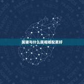 属猪与什么属相婚配更好，猪跟猪属相婚配如何