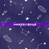 1996年正月27是什么命，96正月初十出生属鼠