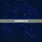26虚岁是什么命，二十六岁属什么生肖