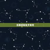 壬辰日柱生于亥月，癸亥月壬辰日