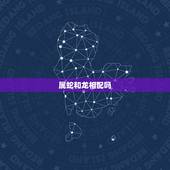 属蛇和龙相配吗，蛇和龙相配婚姻如何