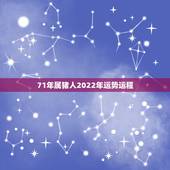 71年属猪人2022年运势运程，属猪2023到2024运势