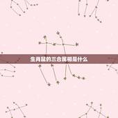 生肖鼠的三合属相是什么，鼠的三合生肖是什么
