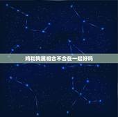 鸡和狗属相合不合在一起好吗，鸡和狗属相不和么，这是迷信迷信迷信………