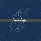 婚配主要看什么，看自己适合什么属相的婚配