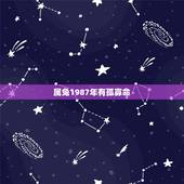 属兔1987年有孤寡命，87年属兔34岁有添丁