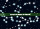 婚姻什么属相配什么最好，十二生肖婚姻配对最好呢？