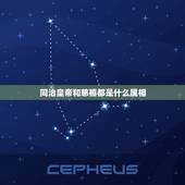 同治皇帝和慈禧都是什么属相，解密:同治和慈禧是什么关系