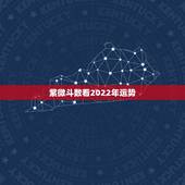 紫微斗数看2022年运势，紫微2022
