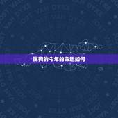 属狗的今年的命运如何，属狗的人一生中的命运怎样