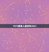 1975属兔人逢虎年2021，2021年兔人运程1975年