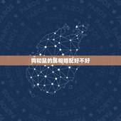 狗和鼠的属相婚配好不好，属相老鼠和狗相配吗