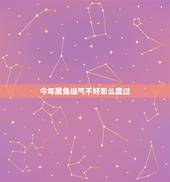 今年属兔运气不好怎么度过，1975属兔45岁以后运气