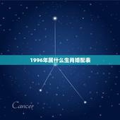1996年属什么生肖婚配表，1996年属什么生肖配对更好