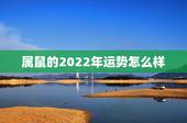 属鼠的2022年运势怎么样，1996年属鼠2021年运势及运程
