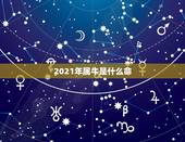 2021年属牛是什么命，2021年出生的牛宝宝是什么命