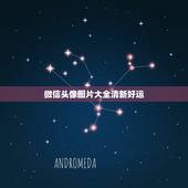 微信头像图片大全清新好运，好看又招财好运的微信头像？