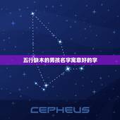 五行缺木的男孩名字寓意好的字，男孩五行属木最旺的字