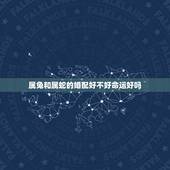 属兔和属蛇的婚配好不好命运好吗，属兔女和什么属相最配