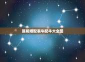 属相婚配表牛配牛大全图，男女﻿属牛的属相婚配表大全 属牛和哪个属相最配