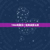 1966年属马一生命运怎么样，1966年属马的女人一生命运 66年属马