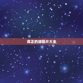 真正的缘图片大全，请发一张真正的有缘网的主页图片