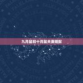 九月鼠和十月鼠夫妻婚配，属鼠和属鼠合婚吗？