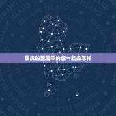 属虎的跟属羊的在一起会怎样，生肖属羊女配男虎好不