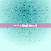 1972年属老鼠是什么命，72年属鼠2022 年的运程