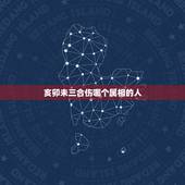 亥卯未三合伤哪个属相的人，亥卯未三合局可以放土命的人吗？