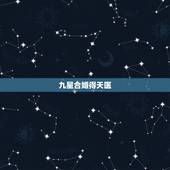 九星合婚得天医，合生辰八字