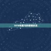 1978年属马的婚姻状况，78年属马男女的婚姻状况？