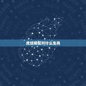 虎结婚配对什么生肖，生肖配对：属虎的和什么属相最配