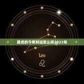 属虎的今年财运怎么样2022年，2022属虎生百年难得一遇