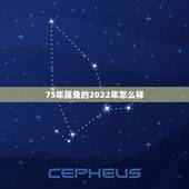75年属兔的2022年怎么样，我是75年属兔的，今年下半年财运怎么样？