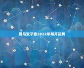 属马双子座2022年每月运势，2022年生肖属马人流年运程