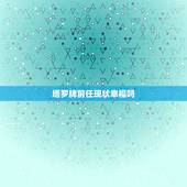塔罗牌前任现状幸福吗，塔罗解析，前任过得怎么样，帮忙解答？