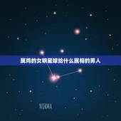 属鸡的女明星嫁给什么属相的男人，81年属鸡女和什么属相的男的最配