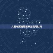 九五年属猪婚配八三猪可以吗，95年属猪女婚配表