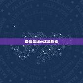 爱情是缘分还是勤奋，恋爱？靠勤奋还是靠缘分