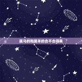 属马的和属羊的合不合得来，属羊和属牛的合不合