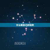 什么是自己的运势，我走什么运气