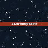 从小到大照片慢慢变老软件，能把照片上人变老的软件叫什么？